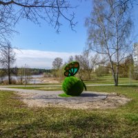 Ещё не созрело. :: Михаил "Skipper"