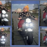 Эмоции "рокера" :: Ольга Довженко