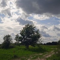 туча :: Елена Шаламова