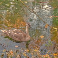 (°-°) :: Jakob Dick