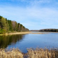 Про озёра Смоленщины. :: Милешкин Владимир Алексеевич 
