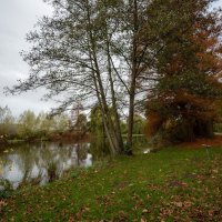 *** :: Николай Гирш