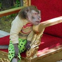 Несчастная :: Надежда 