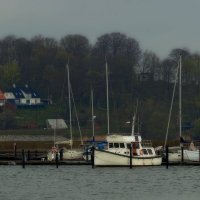 Осень, хмуро, дождь :: В.И 