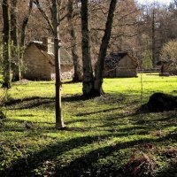 Весенние контрасты :: Aida10 