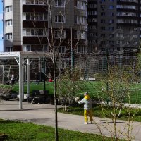 Наш двор. :: Василий Палий