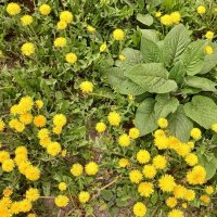 Природа в апреле :: Наталья Герасимова