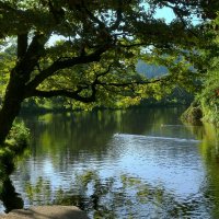 Тихая речка :: Юрий. Шмаков