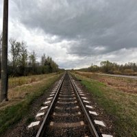 д.Белошкино :: Артем 