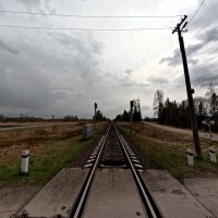 д.Белошкино :: Артем 