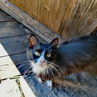 прости.не могу у меня уже трое.... :: Любовь 