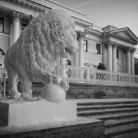 * :: Светлана Воробьева