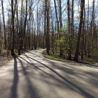 Приметы апреля :: Андрей Лукьянов