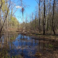 Приметы апреля :: Андрей Лукьянов