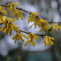 ... :: Николай 