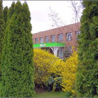 свежесть апреля :: Сеня Белгородский