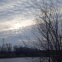 стылый март :: Елена Шаламова