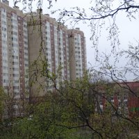 Дождливое утро :: Anna-Sabina Anna-Sabina