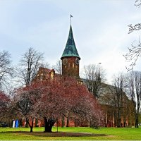 Весна на острове Канта. :: Валерия Комова