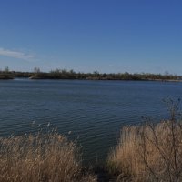 **** :: Виктор 