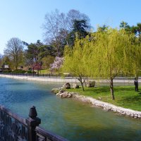 Пейзажи  Гагаринского  парка :: Валентин Семчишин