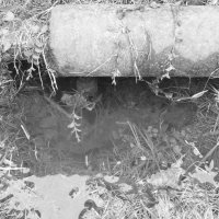 Мечты о ч/б Лейке 112. :: Михаил Елочкин