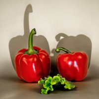 Дуэт :: Виктор Орехов