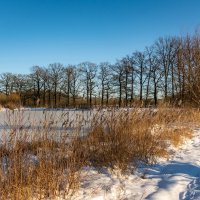 Из зимнего... :: Николай Гирш