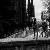 Дневной дозор :: Татьяна [Sumtime]