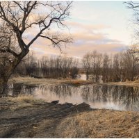 Весенний разлив. :: Михаил К