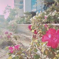 14  КЛОС (128) :: CLOSE WAYS ALL