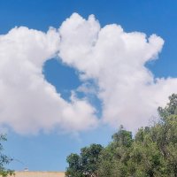 14  КЛОС (131) :: CLOSE WAYS ALL