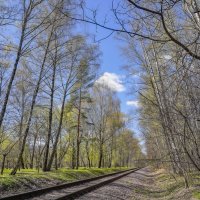 Под небом апреля... :: Владимир Жданов