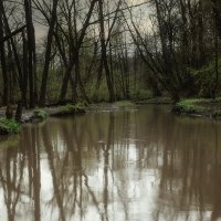 смеркалось :: Michel 