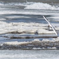 *** :: Виктор Иванович Чернюк