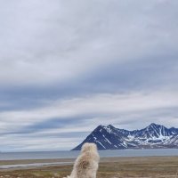 Мой белый медведь))) :: Татьяна Чаброва