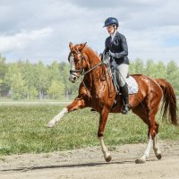 Выездка :: SanSan 