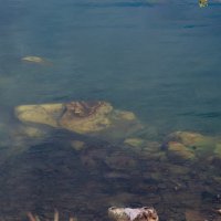 Байкальская вода :: Любовь Сахарова