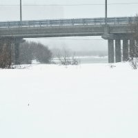 Апрельский снег :: Мишель71 