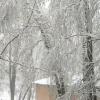 Зима пришла 27 апреля :: Елена Семигина