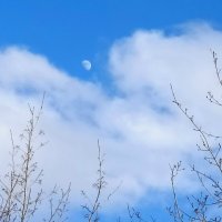 Месяц. :: Светлана Кузнецова