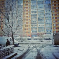 Гримасы природы, 27 апреля 2026 :: Алексей Архипов