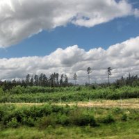 Южнее местечка Беккарюд (Bäckaryd) :: Александр Ильчевский 