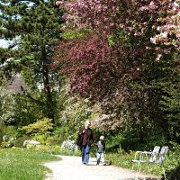 Апрельская палитра... :: Галина 