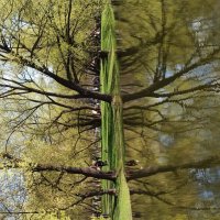 Приметы весны :: Галина 