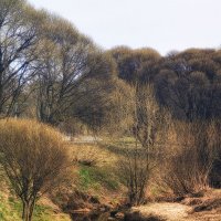 Парковый пейзаж. :: Лилия *