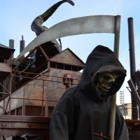 Сопровождение. :: Наталья Вязигина