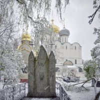 Новодевичий монастырь :: Andrey Lomakin