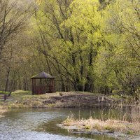 Апрельский этюд :: Сергей Фомичев