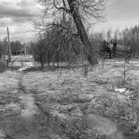 В забытой деревне. :: Сергей Ц